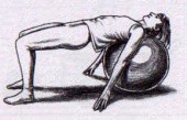 Swiss Ball Bridging Exercise