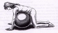 Swiss Ball Quadriped
